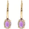 imageGin ampamp Grace 14K Yellow Gold Amethyst leverBack Earring for Women Holiday Gifts Jewelry Gifts