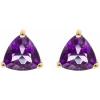imageGin ampamp Grace 14K Yellow Gold Stud Earring with Amethyst Daily Work Wear Jewelry for Women Holiday Gifts Gifts for Her